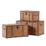 Woodland Set of 3 Storage Trunks